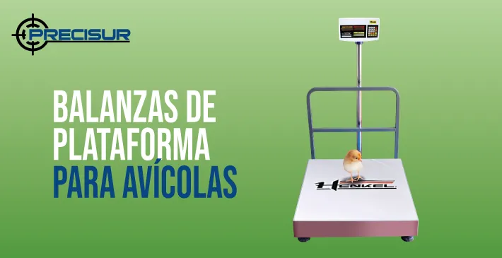 Balanzas de plataforma para avícolas