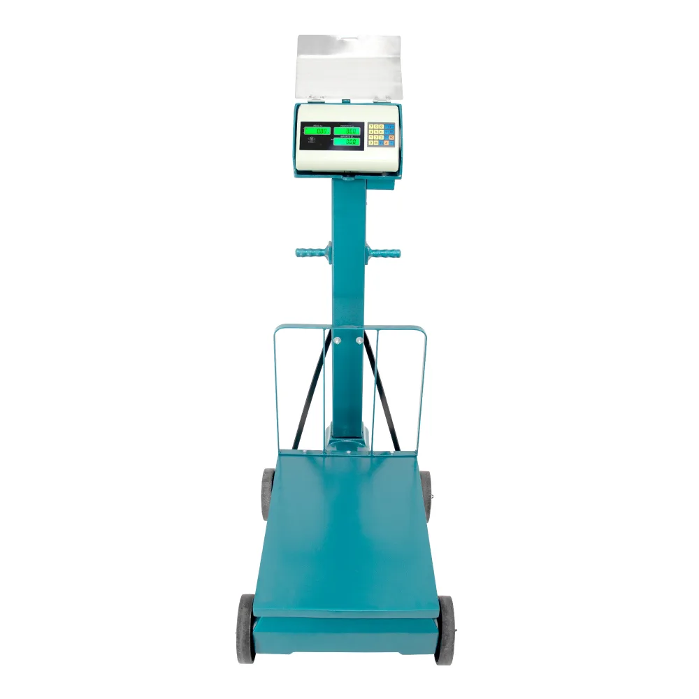 Balanza Electromecánica Excell AP4 de 500 Kilos