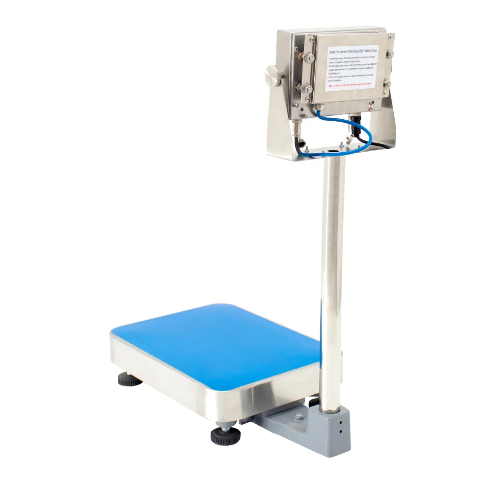 Balanza de Suelo Sagas XK3150 de 100 Kilos