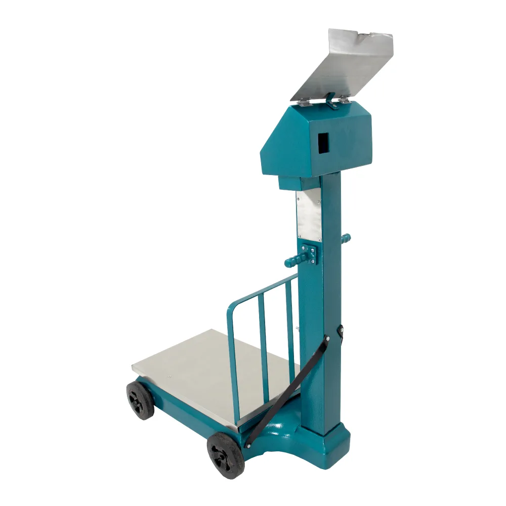 Balanza de Suelo e-Accura SB51-A de 500 Kilos