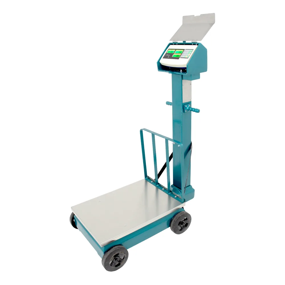 Balanza de Suelo e-Accura SB51-A de 500 Kilos