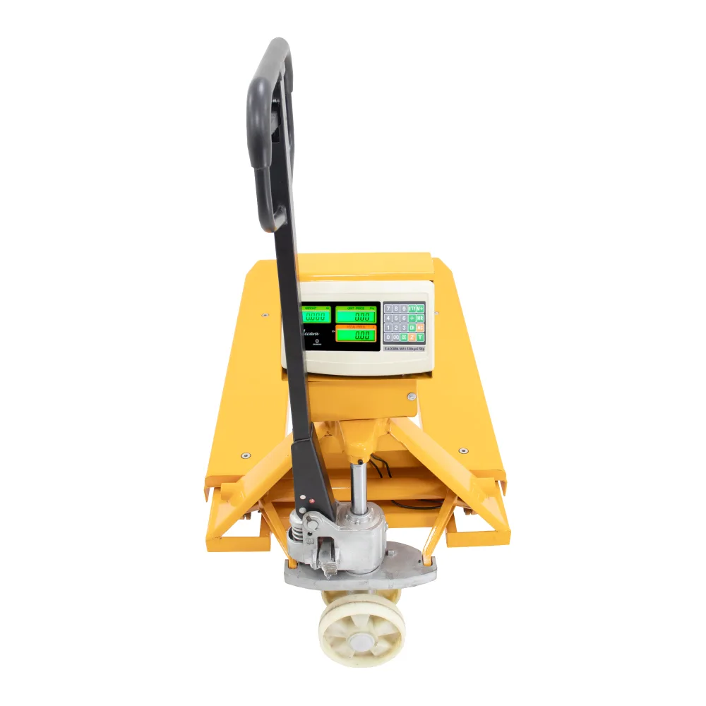 Balanza de Suelo e-Accura SB51 de 1 Tonelada